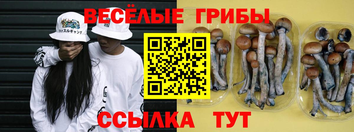Галлюциногенные грибы GOLDEN TEACHER  сколько стоит  Йошкар-Ола  Вход с VPN 